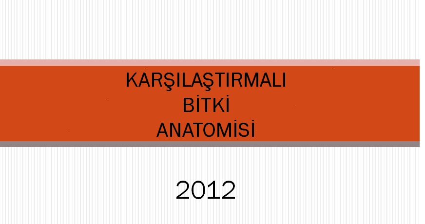 Qarşılaşdırmalı Bitgi Anatomisi-2012