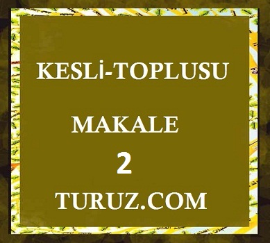 KƏSLİ TOPLUSU - MƏQALƏ MƏCMUƏSİ - BÖLÜM 2
