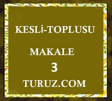 KƏSLİ TOPLUSU - MƏQALƏ MƏCMUƏSİ - BÖLÜM 3