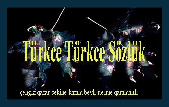 Türkce Türkce Sözlük