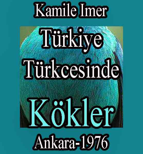 Türkiye Türkcesinde Kökler - Kamile Imer