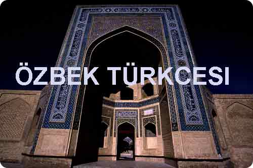 Özbek Turkcesi
