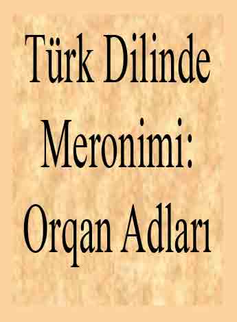Türk Dilinde Meronimi-Orqan Adları