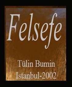 0150-Felsefe -Tülin Bumin-Istanbul-2002