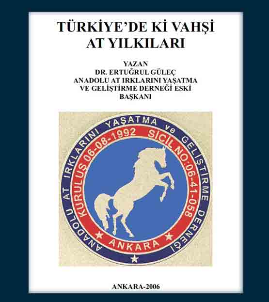 Türkiyedeki Vahşi At Yılkıları - Ertuğrul Gülec