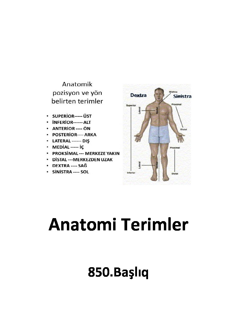 Anatomi Terimler-850.Başlıq-47s