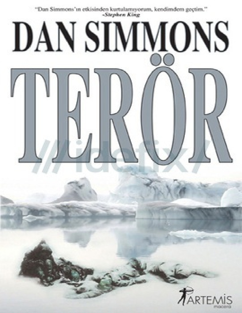 Terör-Dan Simmons-2014-466s
