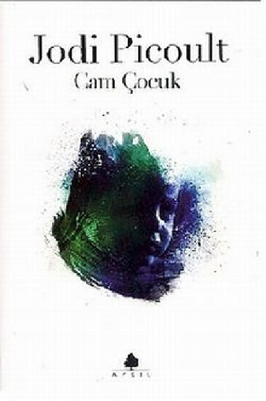 Cam Cocuq-Jodi Picoult-Cihat Daşçıoğlu-2002-487s
