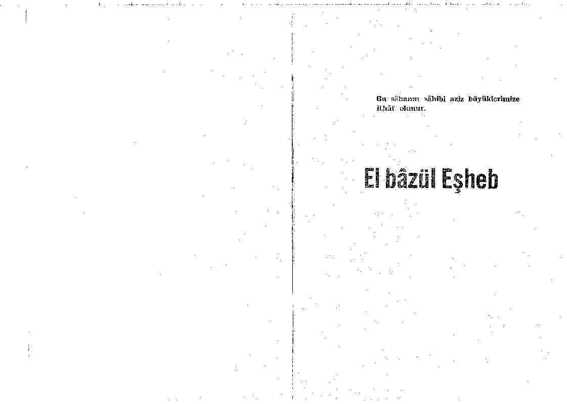 El Bezul Eşheb-Geylani-Abdülqadir Geylani-Çev-Melih Yuluğ-1978-205s