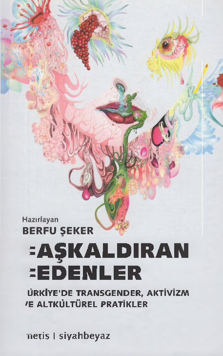 Başqaldıran Bedenler-Türkiyede Transgender-Aktivizm Ve Altkültürel Pratikler-Berfu Şeker-2013-289s
