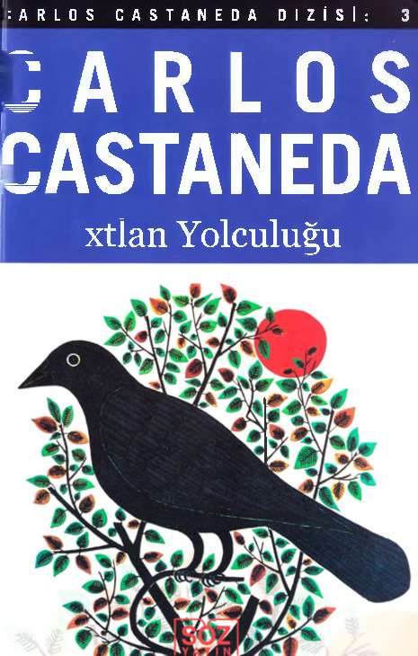 Ixtlan Yolçuluğu-Carlos Castaneda-Nevzad Erkmen-2000-311s