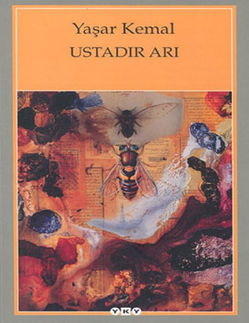 Ustadır Arı-Yaşar Kemal-2003-264s