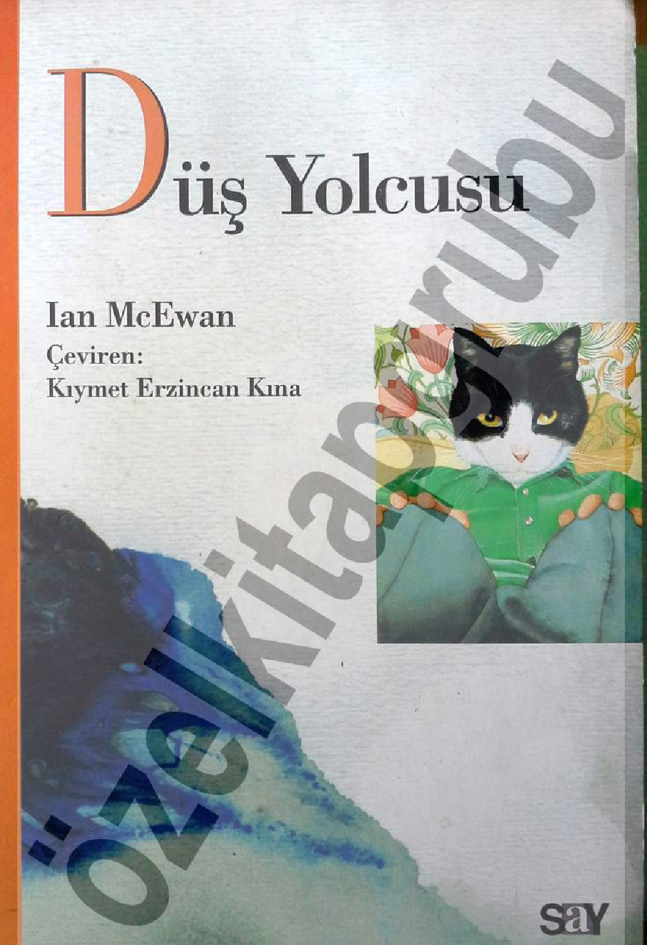 Düş Yolçusu-Ian Mcewan-Qiymet Erzincan Xına-1994-124s