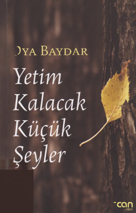 Yetim Qalacaq Küçük Şeyler-Oya Baydar-2014-317s