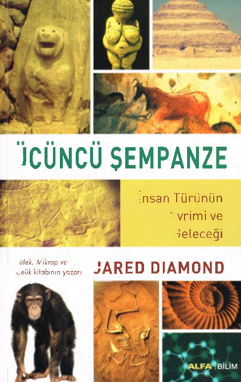 Üçüncü Şempanze Insan Türünün Evrimi Ve Geleceği-Jared Diamond-1992-482s