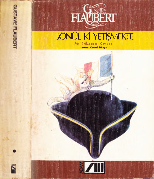 Könülki Yetişmekde-Bir Deliqanlının Rumanı-Gustave Flaubert-Cemal Süreya-1982-482s