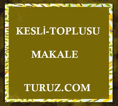 KƏSLİ  TOPLUSU - MƏQALƏ MƏCMUƏSİ - BÖLÜM 1