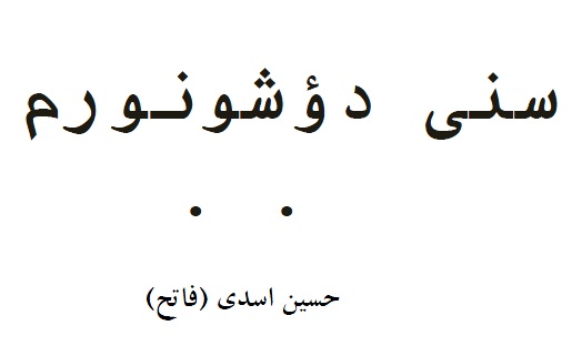 Seni Düşünürem-Şiir-Fateh-Hüsen Esedi-Ebced-1391-135s