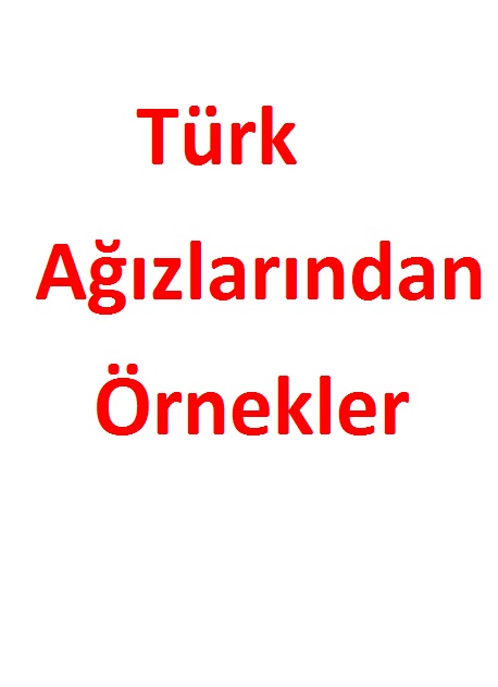 Türk Ağızlarından Örnekler