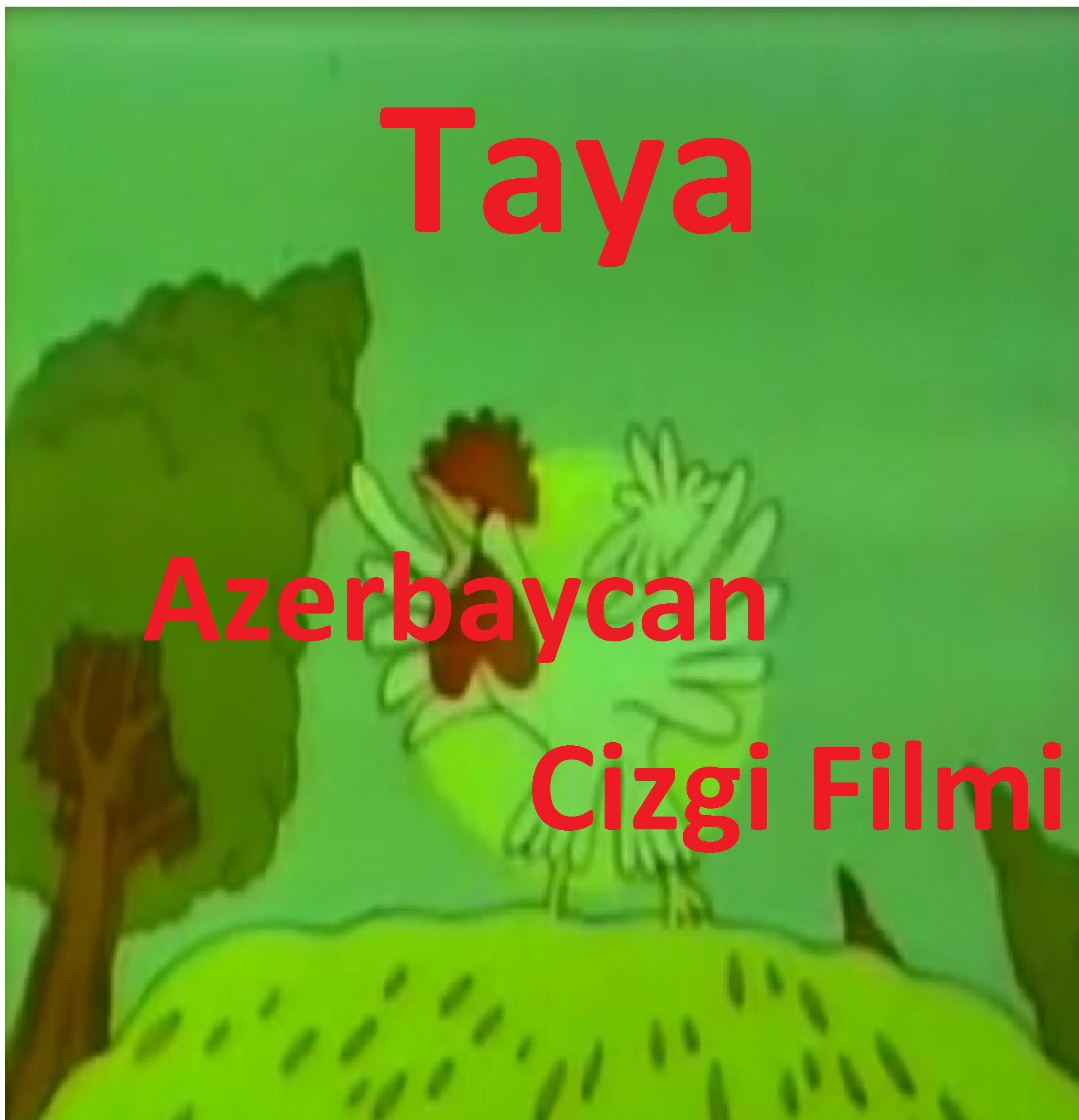 Taya-Azerbaycan Cizgi Filmi