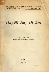 Xeyalı Bey Divanı-Ali Nihad Tarlan-1945-484s