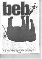 Ekleri-Bebek-Shizofrengi Dergisi-1997-24s