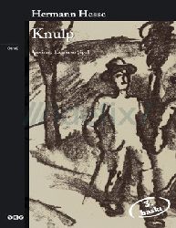 Knulp-Hermann Hesse-Kamuran Şipal-2016-92s