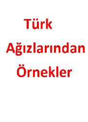 Türk Ağızlarından Örnekler