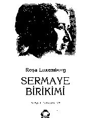 Sermaye Birikimi-Rosa Luxemburg-Tayfun Ertan-2004-354s