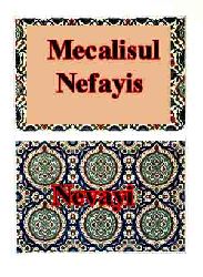 Mecalisul Nefayis