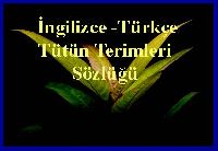 Ingilizce-Türkce Tütün Terimleri Sözlüğü
