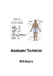 Anatomi Terimler-850.Başlıq-47s